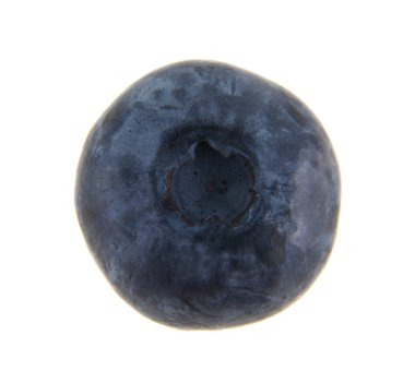 Beyaz arkaplanda yaban mersini izole edilmiş.