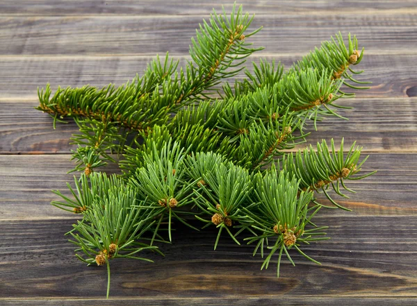 Rama Árbol Navidad Sobre Fondo Madera — Foto de Stock