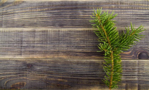 Weihnachtsbaumzweig Auf Holzgrund — Stockfoto