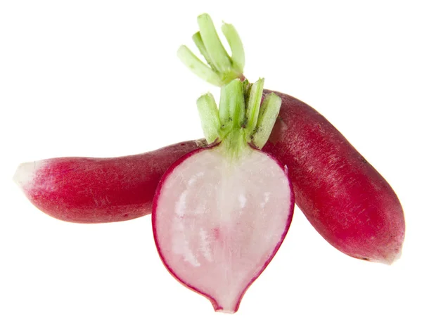 Radish Isolated White Background — Stock Photo, Image