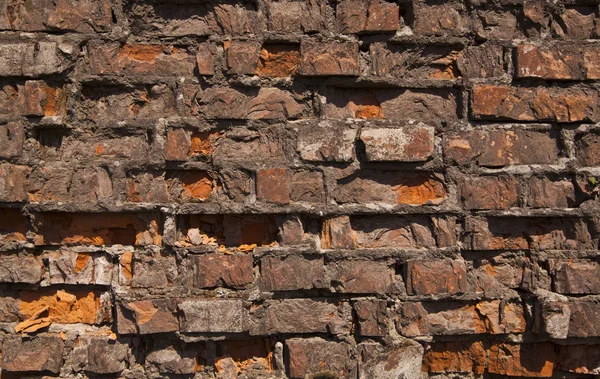Textuur Oude Bakstenen Muur Als Achtergrond — Stockfoto
