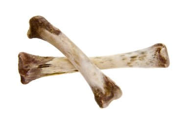 Kemikler beyaz arkaplanda izole