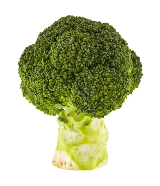 Grön Broccoli Isolerad Vit Bakgrund — Stockfoto