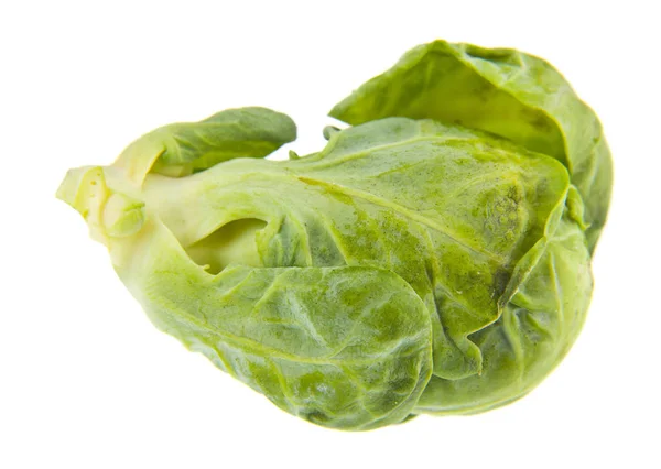 Brussels Sprouts Isolated White Background — Stock Photo, Image