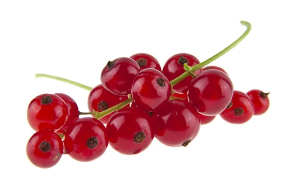 Red Juicy Ripe Currant Isolated White Background — Stock Photo, Image