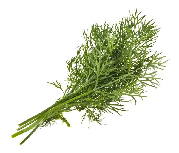 Green Dill Isolated White Background — Stock Photo, Image