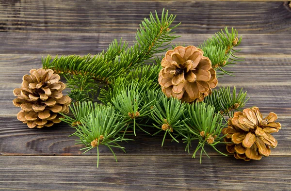 Christmas Tree Branch Cones Wooden Background — Stock Photo, Image