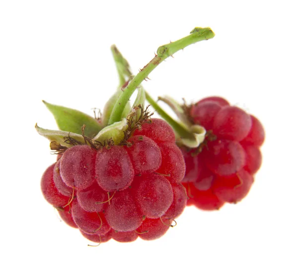 Lebensmittel Mit Frischen Bio Roten Himbeeren Isoliert Auf Weißem Hintergrund — Stockfoto