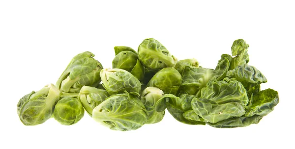 Brussels Sprouts Isolated White Background — Stock Photo, Image