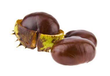 Kestaneler beyaz arkaplanda izole edilmiş