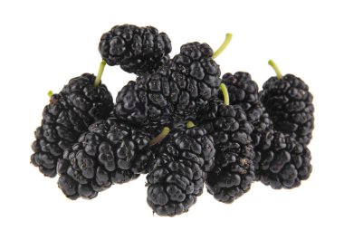 Dut beyaz arkaplanda izole edilmiş