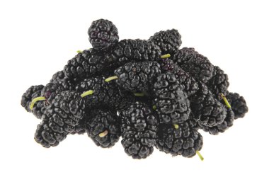 beyaz arkaplanda yalıtılmış dutlar