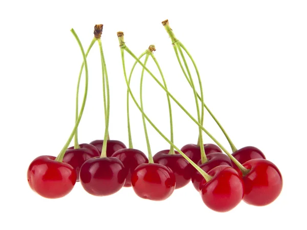 Cerezas rojas aisladas sobre fondo blanco — Foto de Stock