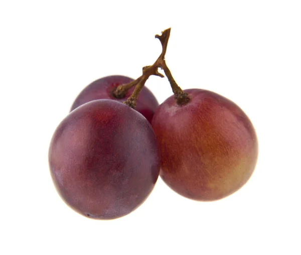 Uva su tralcio isolato su fondo bianco — Foto Stock