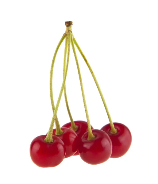 Red cherry isolated on white background close up — Stock Photo, Image