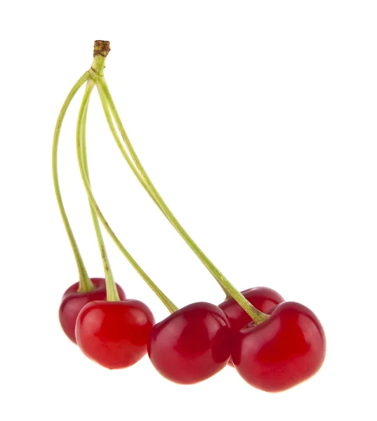 Beyaz arka planda izole kırmızı Cherry — Stok fotoğraf