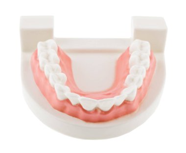 Beyaz arka planda izole dişler yakın çekim