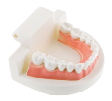 Beyaz Arkaplanda İzole Dişler