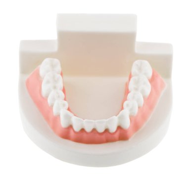 Beyaz Arkaplanda İzole Dişler