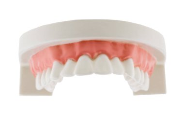 Beyaz Arkaplanda İzole Dişler