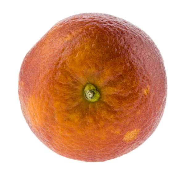 Orange isoliert auf weißem Hintergrund Nahaufnahme — Stockfoto
