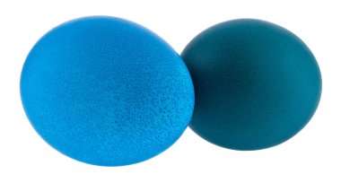 Mavi tavuk yumurtası beyaz arka plan yakın izole.