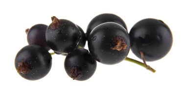 Beyaz arkaplanda siyah frenk üzümü izole edildi