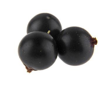 Beyaz arkaplanda siyah frenk üzümü izole edildi
