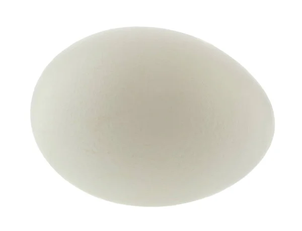 Fehér csirke tojás izolált fehér háttér közelről. — Stock Fotó