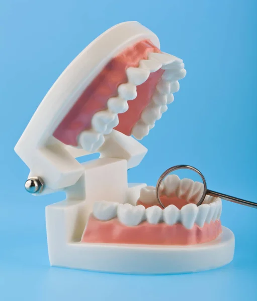 牙科仪器，以证明病人。牙齿模型，机长 — 图库照片