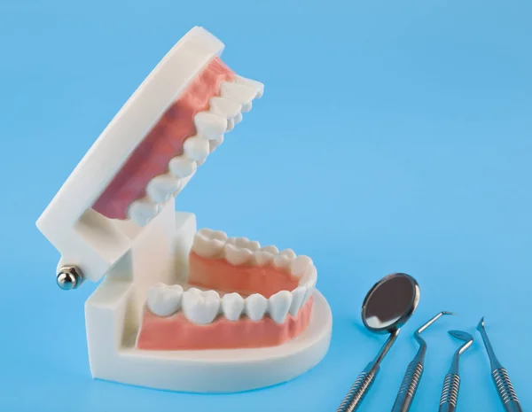 患者を実証するための歯科用器具。歯のモデル, ミラー — ストック写真