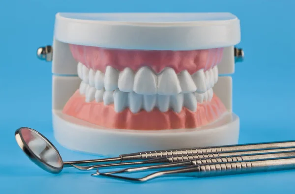 患者を実証するための歯科用器具。歯のモデル, ミラー — ストック写真