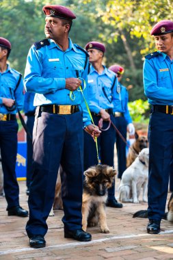 Katmandu, Nepal - 29 Ekim 2016: Nepal polis Kukur Tihar (köpek Festivali), Merkez polis köpeği eğitim okulu kutluyor.