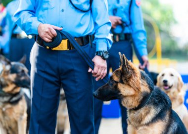Katmandu, Nepal - 29 Ekim 2016: Nepal polis Kukur Tihar (köpek Festivali), Merkez polis köpeği eğitim okulu kutluyor.