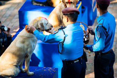 Katmandu, Nepal - 29 Ekim 2016: Nepal polis Kukur Tihar (köpek Festivali), Merkez polis köpeği eğitim okulu kutluyor.
