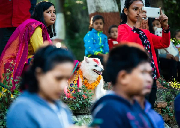 Kathmandu Nepal Oktober 2016 Nepalese Politie Viert Kukur Tihar Hondenfestival — Stockfoto