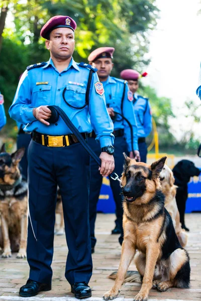 Kathmandu Nepál Října 2016 Nepál Policie Slaví Rašple Tihar Psí — Stock fotografie