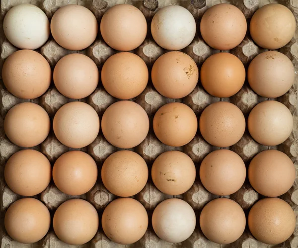 Overhead View Free Range Organic Chicken Eggs Tray Some Eggs — Stock Photo, Image