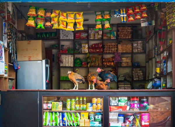 Hens on a shop counter in Nepal — Stock Photo, Image