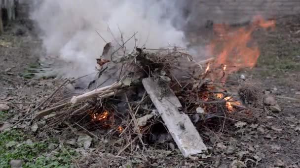 Disparo Estático Fuego Residuos Verdes Jardín Jardineros Rastrillo Tiro — Vídeos de Stock