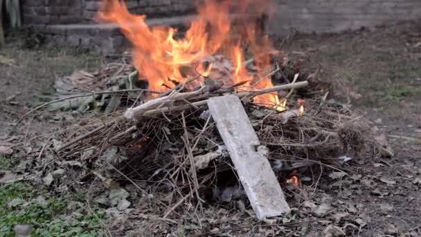 Static Shot Green Waste Fire Garden — Stock Video