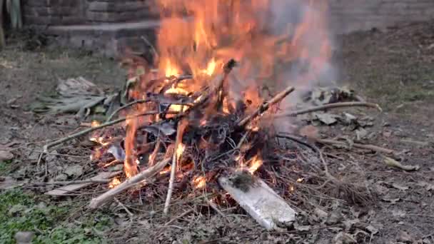 Disparo Estático Fuego Residuos Verdes Jardín — Vídeos de Stock