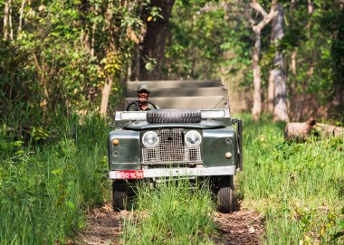 Chitwan ormanda Vintage Land Rover Serisi Ii, Nepal
