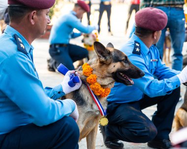 Nepal Polis Katmandu Kukur Tihar kutluyor