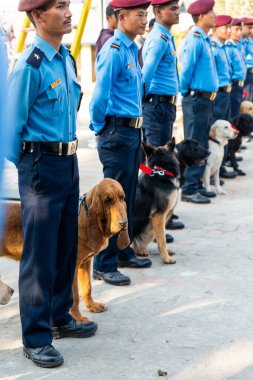 Nepal Polis Katmandu Kukur Tihar kutluyor