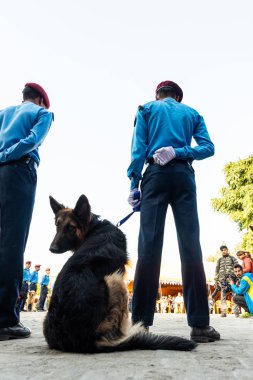 Nepal Polis Katmandu Kukur Tihar kutluyor