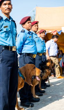 Nepal Polis Katmandu Kukur Tihar kutluyor