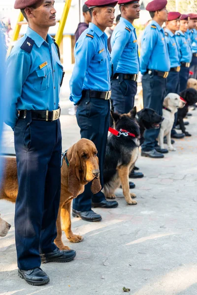Nepal Polis Katmandu Kukur Tihar kutluyor