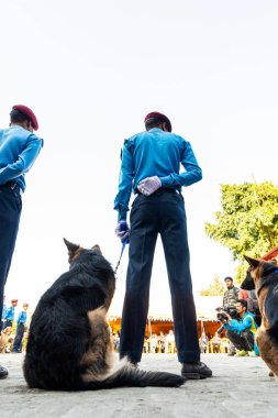 Nepal Polis Katmandu Kukur Tihar kutluyor