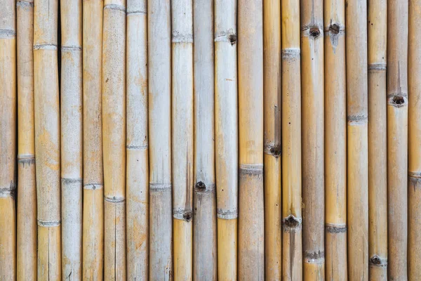 Textura cerca de bambu — Fotografia de Stock